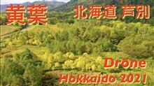 【北海道、芦別の黄葉】紅葉の始まり、黄色が先行していました。2021年【ドローン 空撮】