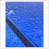 雨予報では無かったのに、、、 ...