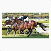 週末の競馬を振り返る（毎日王 ...