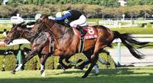 週末の競馬を振り返る（毎日王冠、京都大賞典） 
