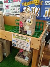新米を求めて