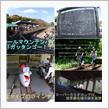 旧神岡鉄道の廃線後に残された鉄道資産　「Ｇａｔｔａｎ　Ｇｏ！！」　🚋