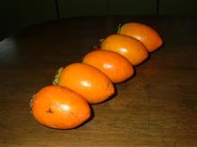 オフ会風に並べてみた オフ会風に並べてみた
