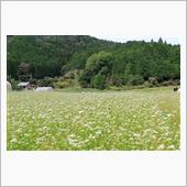 和歌山県かつらぎ町天野、世界 ...