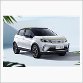 中国製EV車は増えるよね
