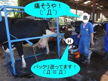 えっ？それってあんた・・・　（σ‐￣）ﾎｼﾞﾎｼﾞ
