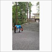 伊勢神宮内宮早朝参拝　前編