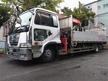 &#39;21　野良猫日記　其の百七十七　～モチトラ出動🚚～