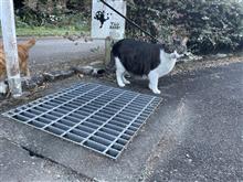 朧大橋と耳納大橋