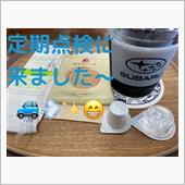 18ヶ月点検📝🚗