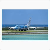 青い海とFLYING HONU