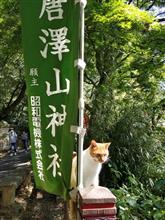 北関東茶会 (2021年10月) 北関東茶会 (2021年10月)