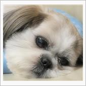 10月の仁君～(*^O^*)
