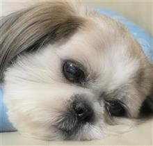 10月の仁君～(*^O^*)