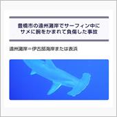 サーファーがサメに襲われた
