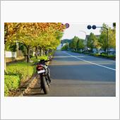 紅葉と富士山を見に・・・行けず