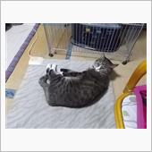 今日は、ゆっくりと、、・