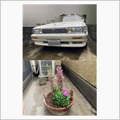 ご報告