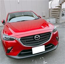 シルエット・サイズ感ベスト