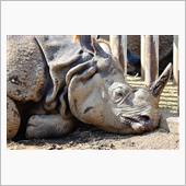 多摩動物公園（2021年10 ...