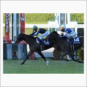 週末の競馬を振り返る（秋華賞）
