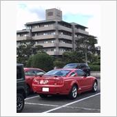 草戸千軒ミュージアム