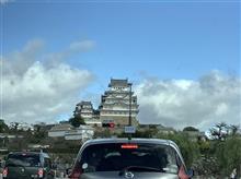 また家族が増えた
