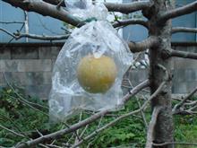急に気温が下がりました