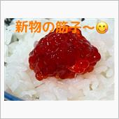 今夜の晩飯は〜😋