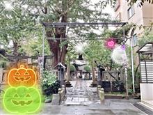1017🔖小野照崎神社…『神無月&月参り』 1017🔖小野照崎神社…『神無月&月参り』