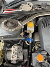 どぐされ妖怪猫　留置場体験記その1