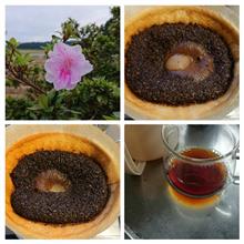 火曜の珈琲 一～四杯目 ウォーキング