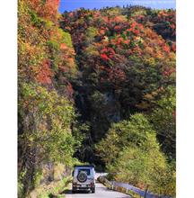 2021紅葉狩り①-3 毛無峠 2021紅葉狩り①-3 毛無峠