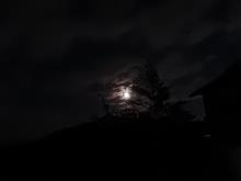 溢月