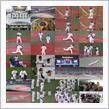野球観戦（埼玉西武vs北海道日本ハム）