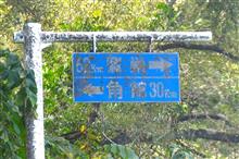 東北、秋の彩り⑧　秋田内陸線　(2021 .10)