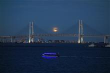 大桟橋から観月🌕