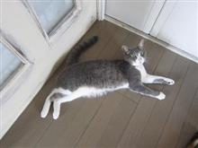 だから空いてたのかァ(^◇^;)