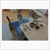 〔隔週〕先週、今週の朝食(1 ...