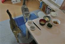 〔隔週〕先週、今週の朝食(15)