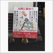 こんなものが