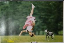Fly away