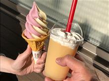 ディーラー点検前に再びコスモス畑へ