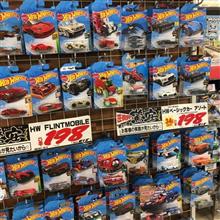 ミニカー調査隊🚙+カナヘビ通信🦎 ミニカー調査隊🚙+カナヘビ通信🦎
