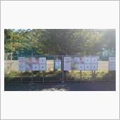 選挙投票のついでに散歩してきた