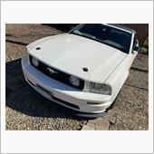 MUSTANG REAR W ...