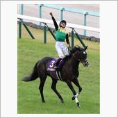 週末の競馬を振り返る（菊花賞）