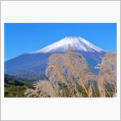 ススキと富士山