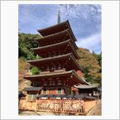 長谷寺、朝の修行に参加✌️