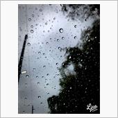 今日は一日中雨降り